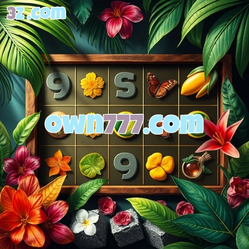 Recursos Paga que Encantam no own777.com: Uma Nova Era